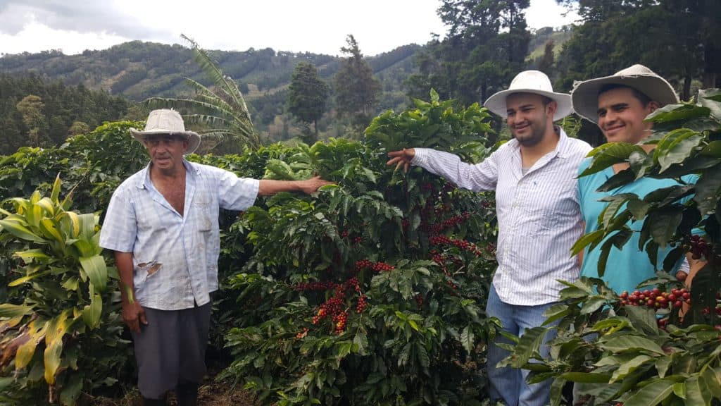 March Gourmet Coffees