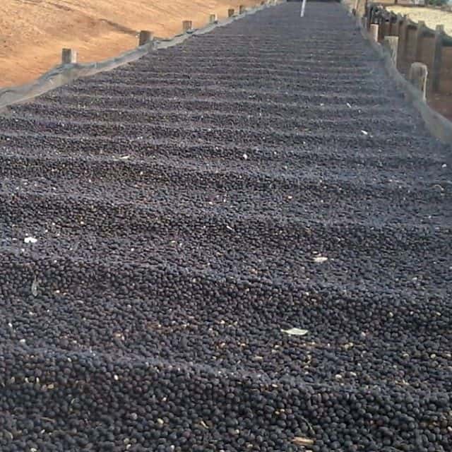 37810278_274152930032246_5547660448511295488_n|37351208_244337773056270_4051334232457347072_n|37810278_274152930032246_5547660448511295488_n|45731490_2082762732036047_2500756076670740154_n|37952090_2112736132378389_1387508057059098624_n