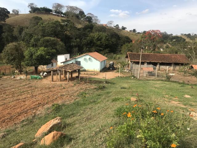 Gourmet coffees for May