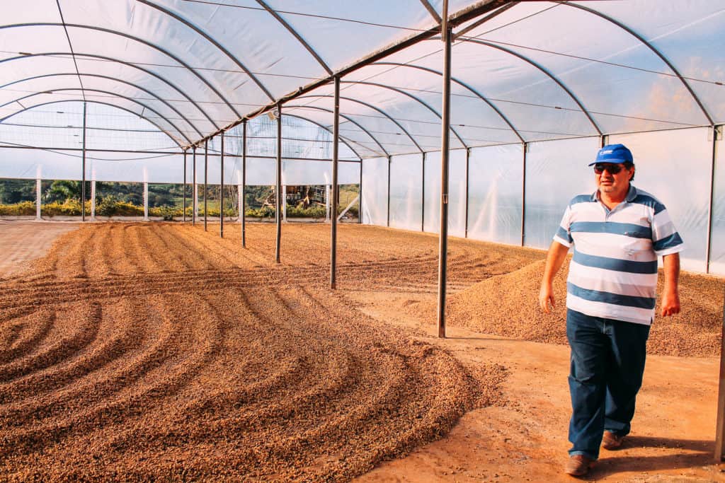 Mantiqueira Amarelo - Brazilian Coffee with Notes of Chocolate and Plum