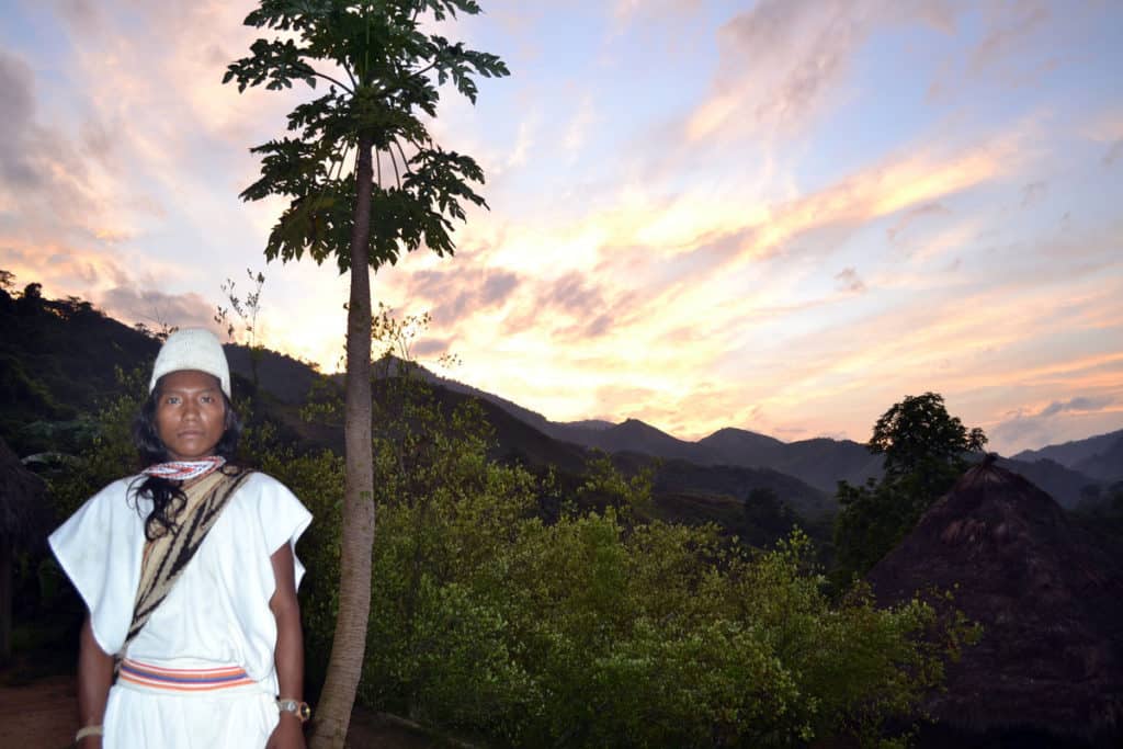 Tayronaca Organic - Colombia