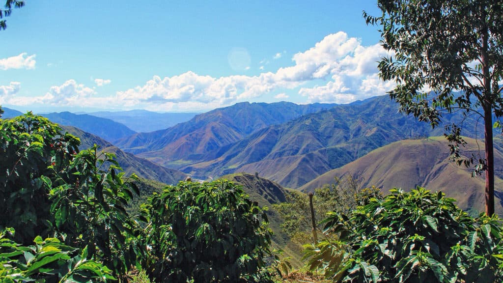 gourmet coffees April