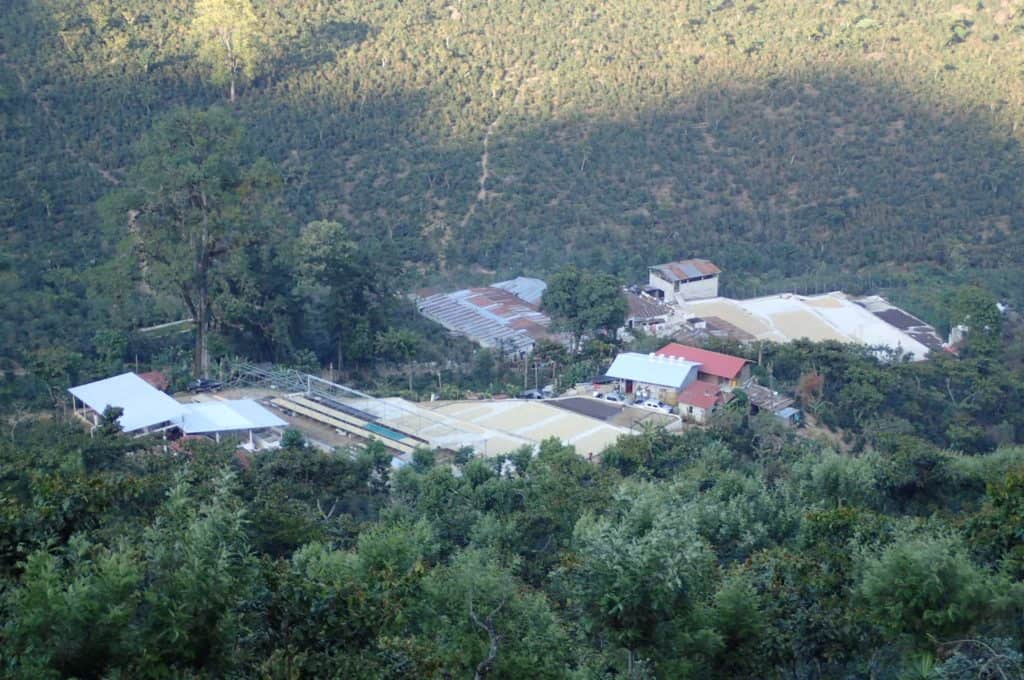 Guatemala Finca La Providencia -- Coffee with Hints of Hazelnut, Apple, Raisins and Chocolate