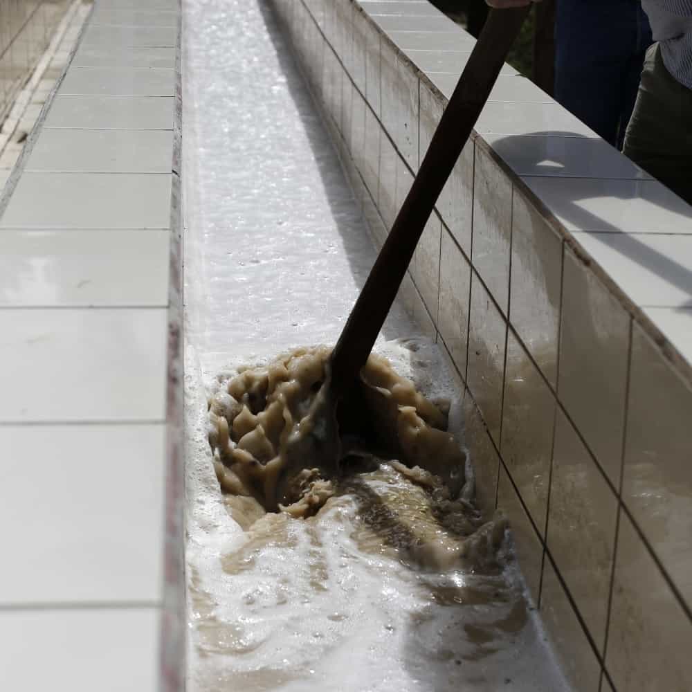 nicaragua-finca-santa-maria-drying-bed(1)|nicaragua-finca-santa-maria-cherry|nicaragua-finca-santa-maria-drying-bed|nicaragua-finca-santa-maria-manager|nicaragua-finca-santa-maria-victor|nicaragua-finca-santa-maria-wet-mill