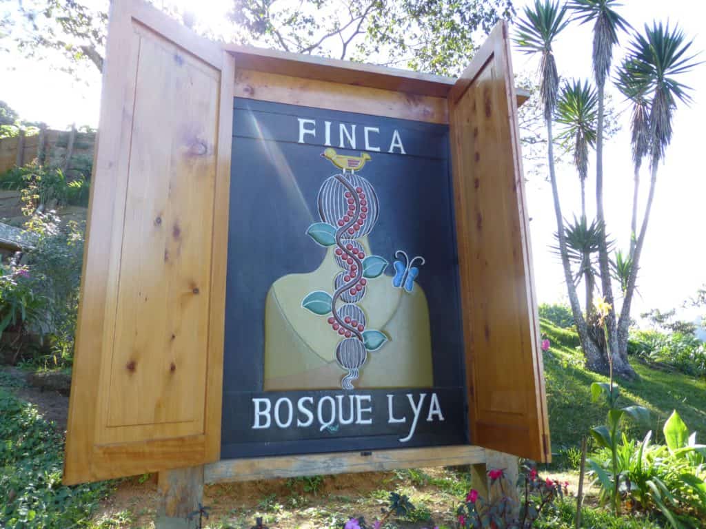 la bosque lya