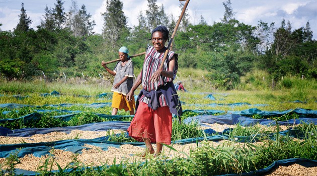Papua New Guinea Elimbari B