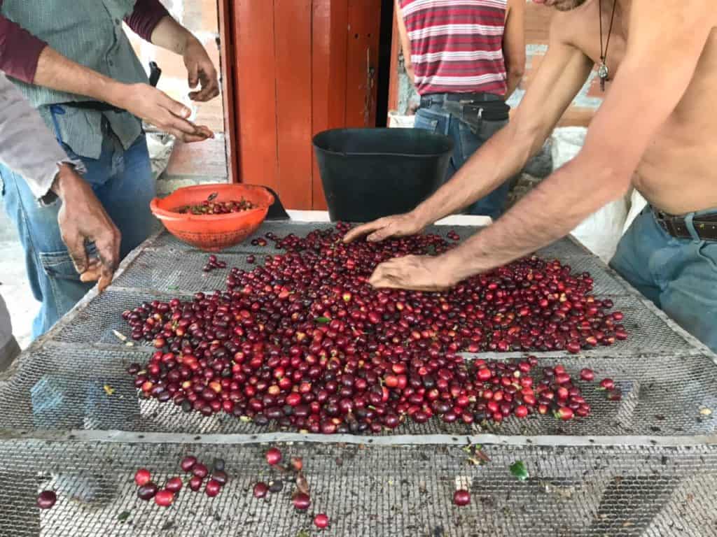 Santuario Colombian blend