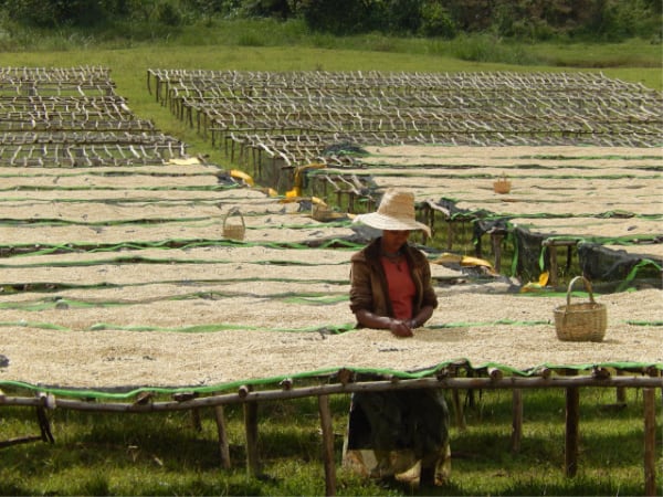 uraga sami featured|uraga samii|uraga samt 2|uraga sami #5